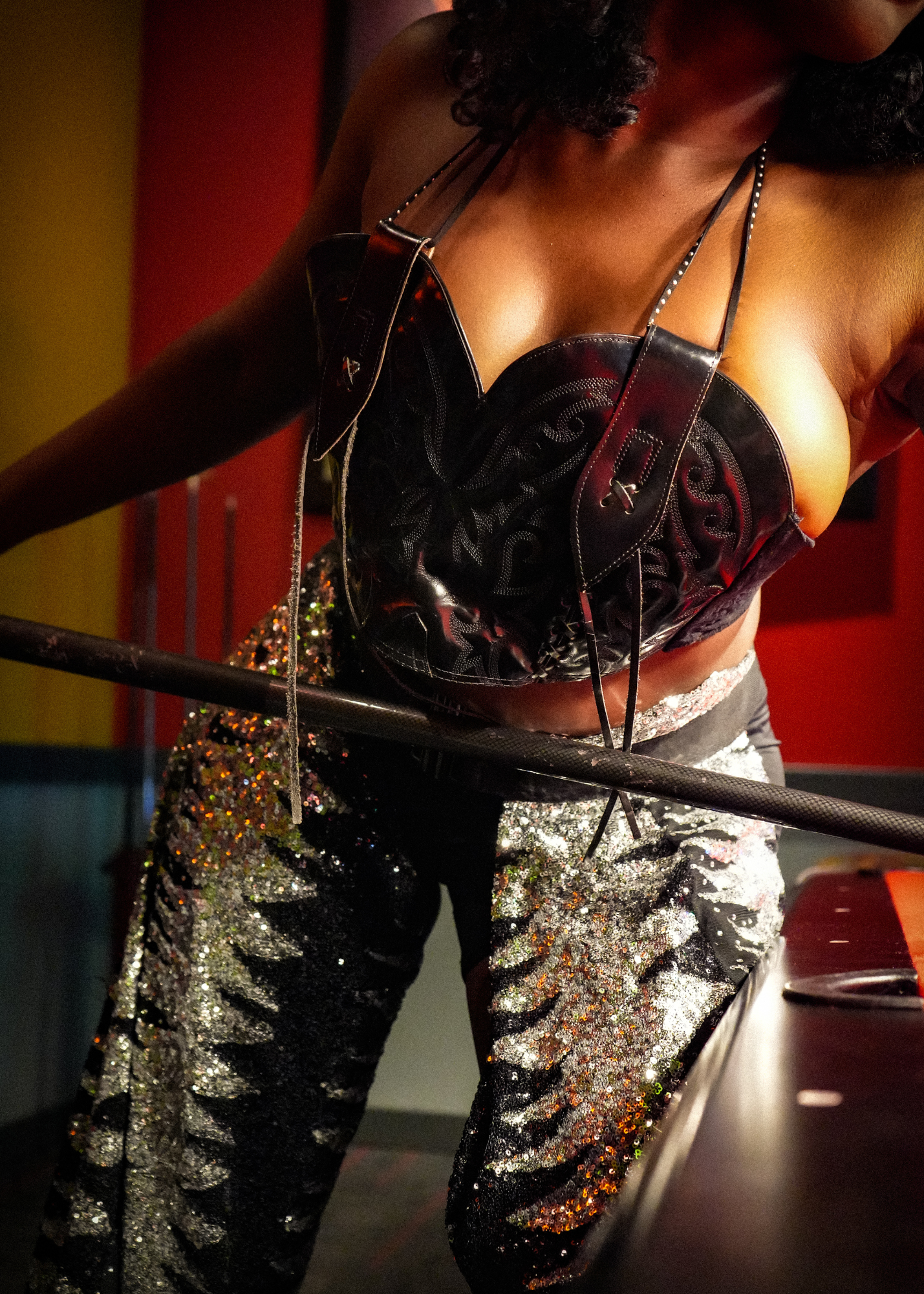 Black and Silver Sequins Chaps