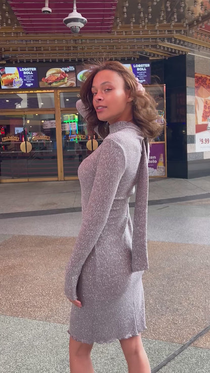 Silver Sparkle Dress